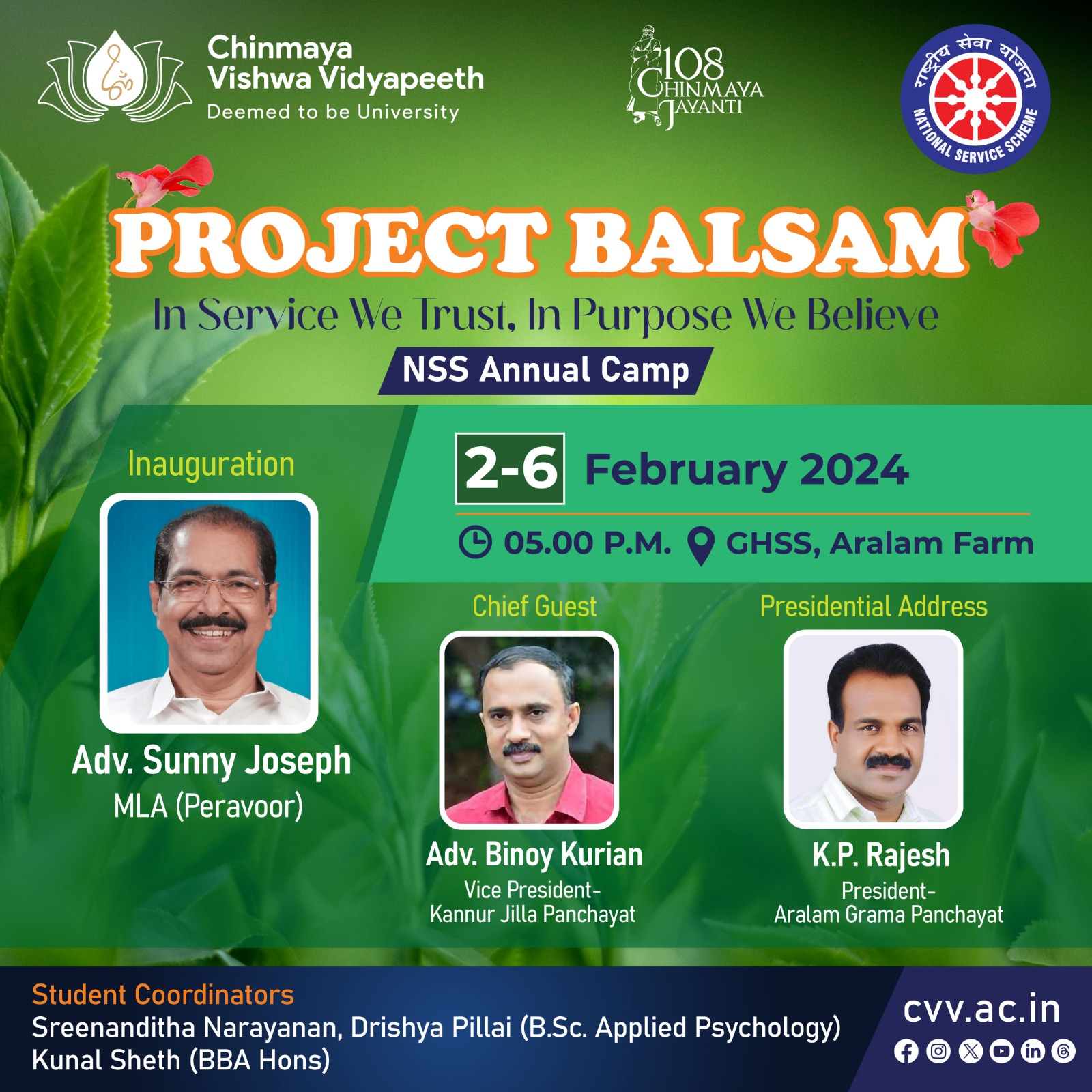 Project Balsam